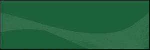 spot_img