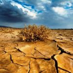 خشکسالی؛ بیخِ گوش کشاورزان