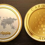 آغاز روند اصلاحی کاردانو و ریپل