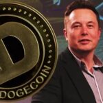 شبکه دوجکوین با حمایت ایلان ماسک ارتقا مییابد